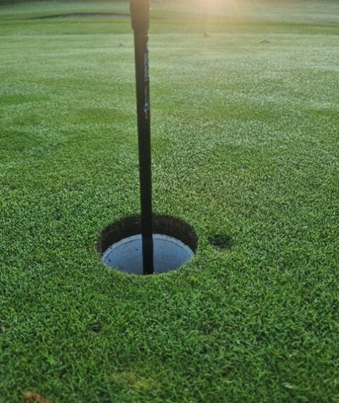 Afbeelding pitchmark 1