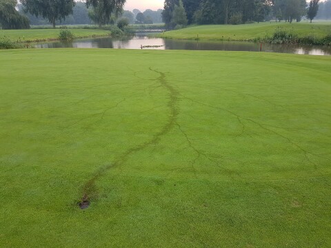 Blikseminslag Botter 2 green 2016